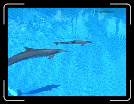 P1015199 * 2592 x 1944 * (1.1MB)